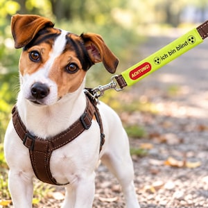 Könnte beinhalten: Ein Jack-Russell-Terrier trägt ein braunes Hundegeschirr mit passender Leine. Die Leine hat einen leuchtend neongelben Überzug mit dem Text ACHTUNG! ich bin blind und zwei schwarzen kreisförmigen Symbolen mit drei Punkten im Dreieck.