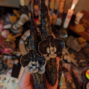 May include: Three dark brown, textured candles with black orchid flower accents and gold leaf detailing. The orchid flowers have white and gold centers. The candles are displayed against a blurred background of other items.