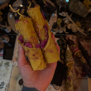 Op de afbeelding: Twee gele kaarsen met gedroogde roze rozenblaadjes worden vastgehouden. De kaarsen hebben een handgemaakte uitstraling. Op de achtergrond zijn andere kaarsen en botanische prints te zien.