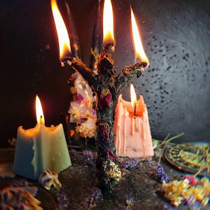 May include: A black candle with three flames, shaped like a trident, surrounded by other candles and dried flowers on a dark surface.