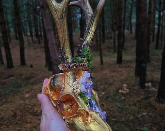 Skull,gold Skull, witch Skull, atlar Skull, pagan Skull