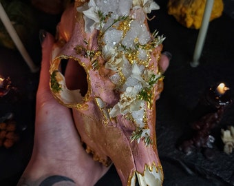 Crâne de cerf, crâne d'autel, crâne avec cristaux, crâne de sorcière, crâne