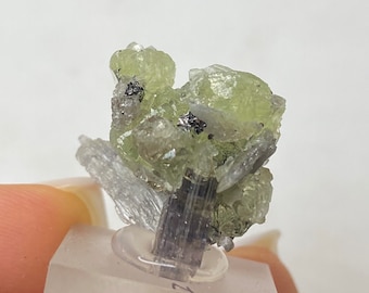 TANZANITE with Prehnite Crystal Level (3.9gr.) Natural Tanzanite Crystal with Prehnite Rough