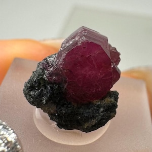 Könnte beinhalten: Ein tiefroter Rubin-Kristall mit einer dunkelgrauen Matrix. Der Rubin ist facettiert und hat eine scharfe, spitze Form.