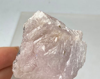 MAGNESIOAXINITE Crystal (32gr) Magnesio Axinite Crystal, Tanzania Magnesio Axinite