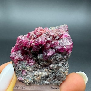 May include: A raw mineral specimen featuring clusters of vibrant magenta-red ruby crystals embedded in a dark, textured grey matrix. The specimen is mounted on a clear acrylic base with the handwritten text "RUBY WINZA" and "800" visible.