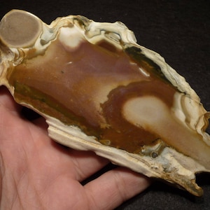 Polished SILEX disc (180gr) Flint, flint, Russia, Russia #4