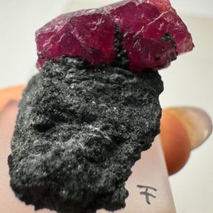 Puede incluir: Un cristal de rubí rosa vibrante incrustado en una roca gris oscura. El rubí tiene una textura rugosa y natural y está parcialmente expuesto.