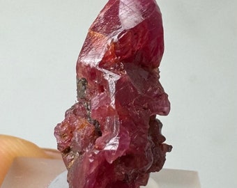 RUBY Crystal (2.6gr) Ruby Crystal Specimen, Tanzania