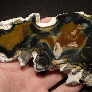 Polished SILEX disc (195gr) Flint, flint, Russia, Russia #3