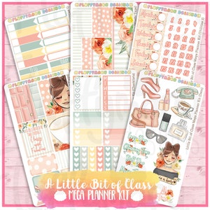 Beetje klasse Mega Planner instellen || Planner Stickers, leuke Stickers voor Erin Condren (ECLP), Filofax, Kikki K, enz. || MPK01