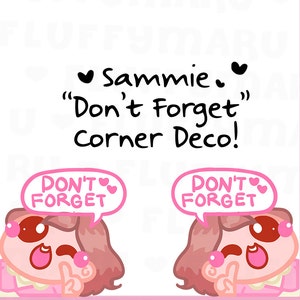 Não se esqueça de Sammie || Adesivos de planejador, adesivos fofos para Erin Condren (ECLP), Filofax, Kikki K, etc. CS09