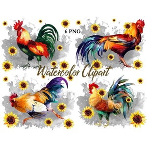 Rooster with sunflowers Sublimation designs Download PNG Sublimation graphics Clipart PNG files Sublimation transfers print Watercolor