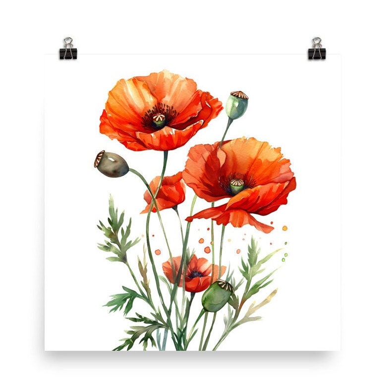 Red Poppy Watercolor Art Print: Floral Farmhouse Wall Decor - Etsy