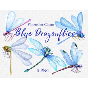 Dragonflies Watercolor Clipart Insects Watercolour Art Animal Printable Instant Download Transparent Individual PNG Hand Painted Clip Art