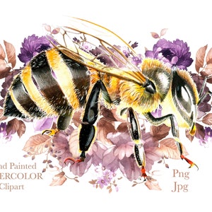 Watercolor Clipart Honey Bee Watercolour Insect Art Printable Instant Download Transparent Individual PNG JPG Hand Painted Clip Art