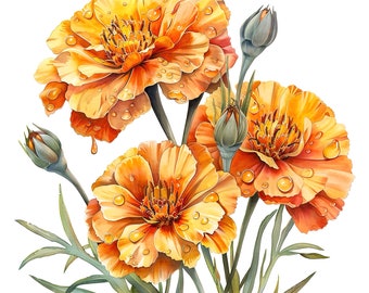 油絵アート（orange flower） fit=scale-down,w=1200