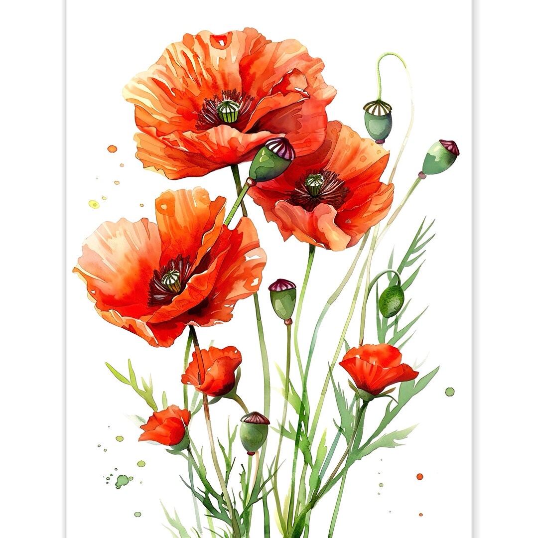 Red Poppy Flowers Watercolor Art Print Floral Artwork Farmhouse Wall ...