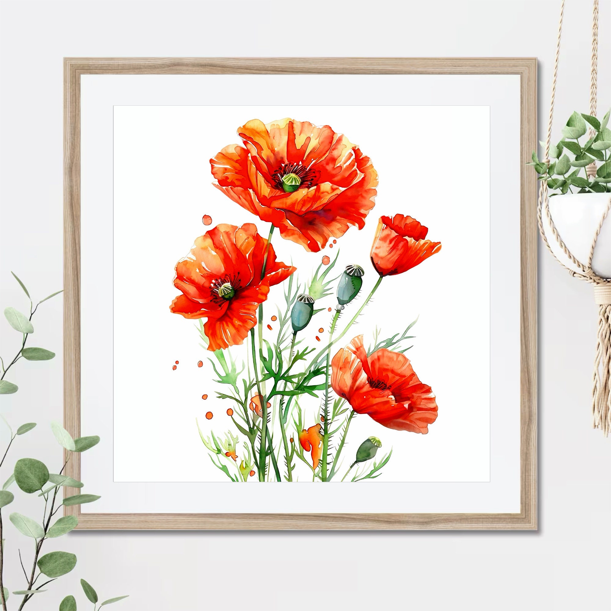 Red Poppy Watercolor Art Print: Floral Farmhouse Wall Decor - Etsy