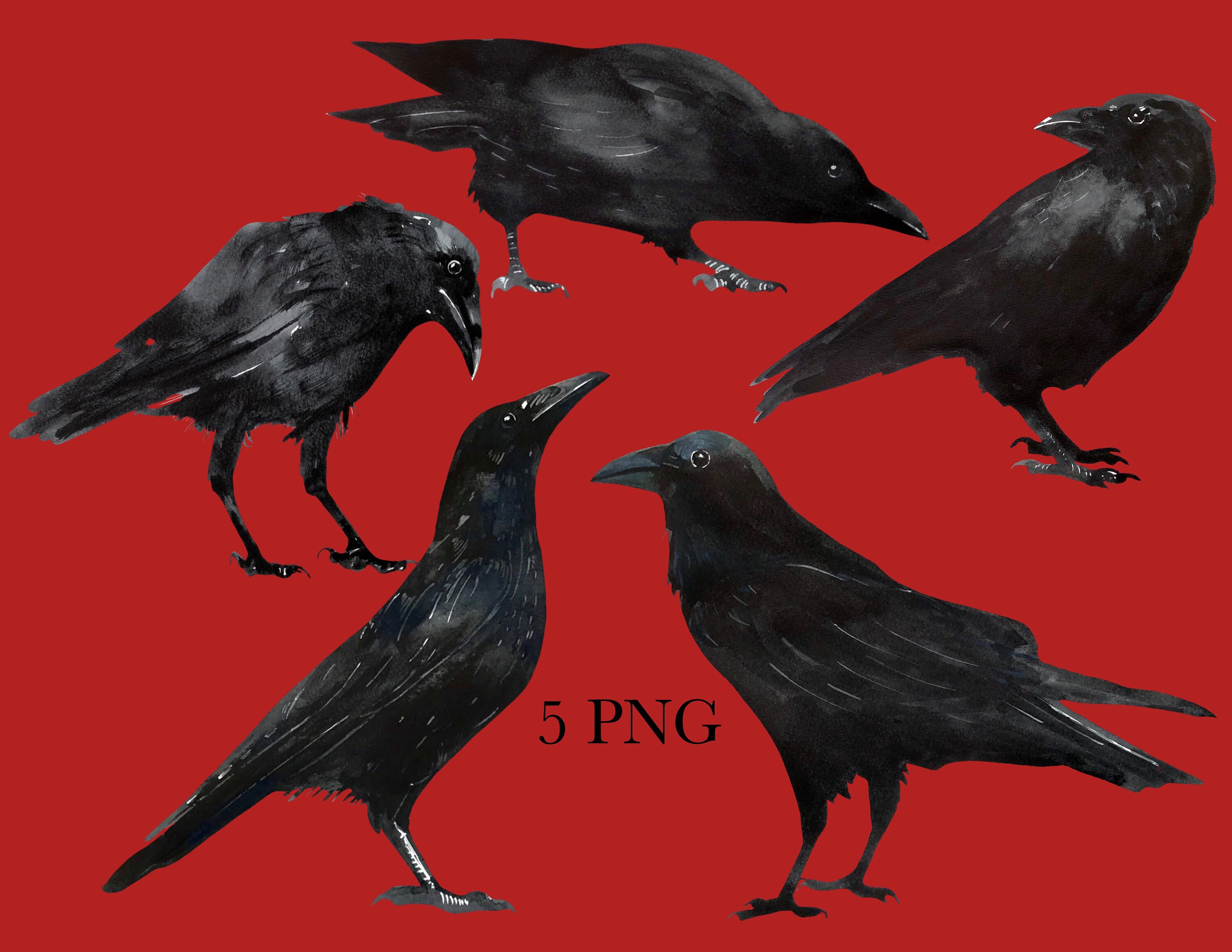Crow Watercolor Clipart Raven Bird Clip Art Printable Instant | Etsy