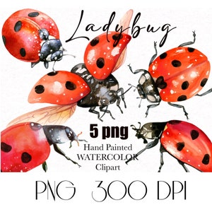 Ladybug in Grass, Sublimation, Lady Bug PNG, Insect Clipart