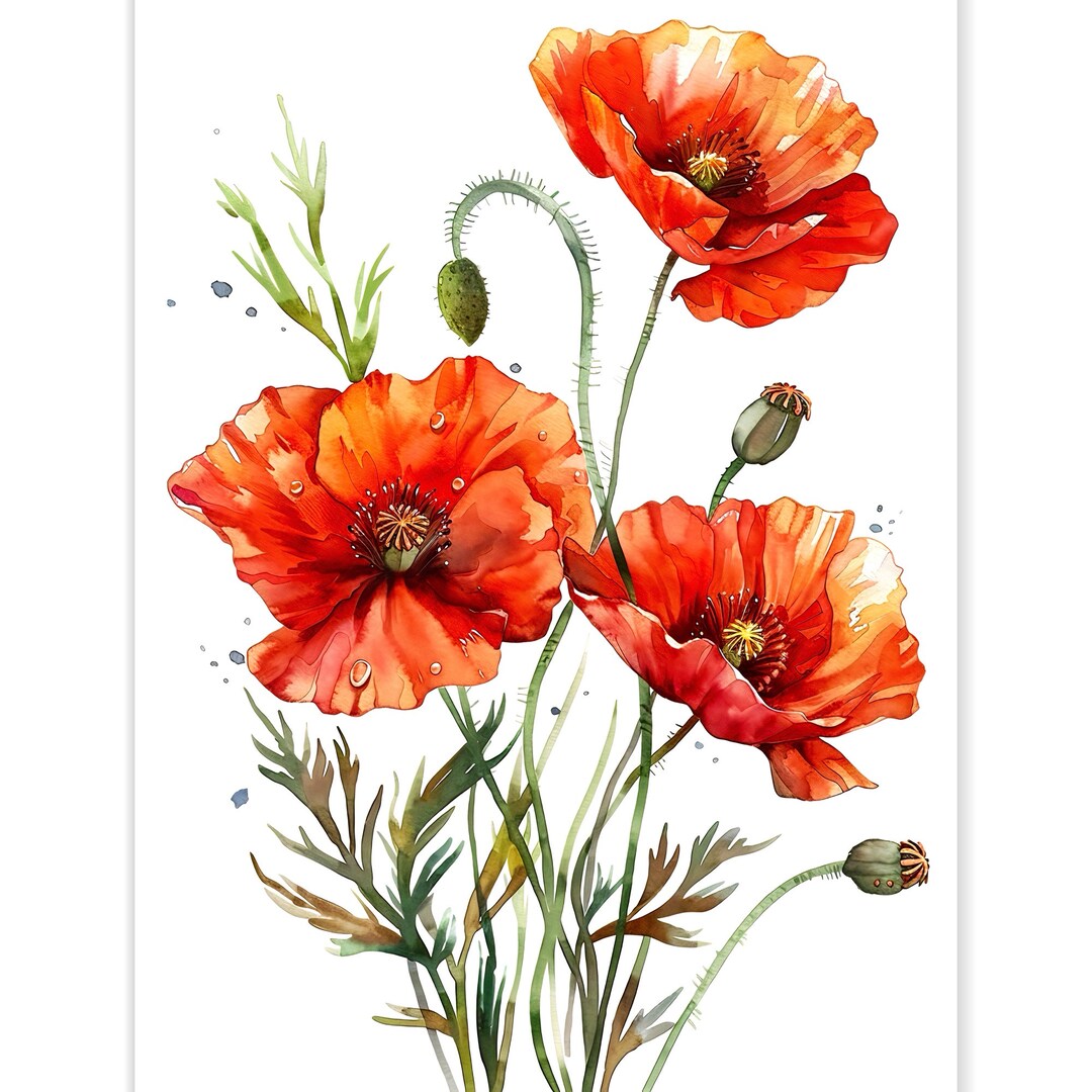 Red Poppy Watercolor Art Print: Floral Farmhouse Wall Decor - Etsy
