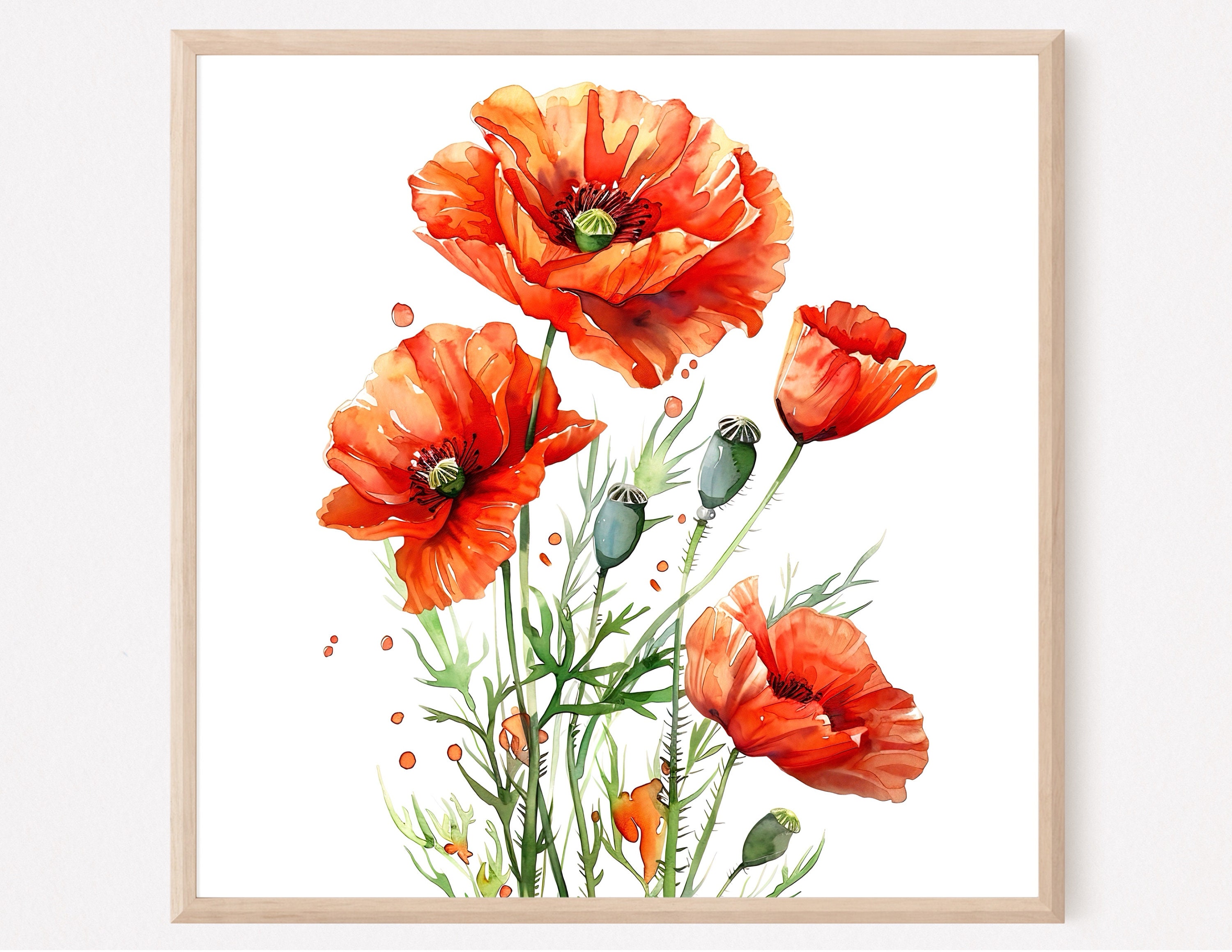 Red Poppy Watercolor Art Print: Floral Farmhouse Wall Decor - Etsy