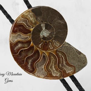 Large Fossil Ammonite Bolo Tie, Rustic Bolo Tie for Men or Women, Unique Handmade Casual Fun Bolo Tie