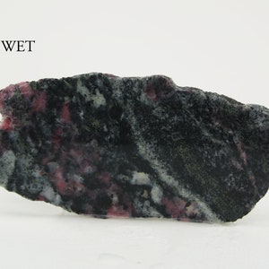 May include: A rough-edged rock sample with a mix of black, gray, and pink hues. The word "WET" is printed in black at the top. The rock's surface has a textured appearance.