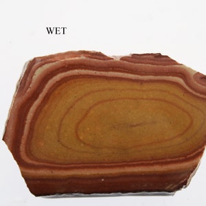 May include: A piece of polished stone with concentric bands of color. The stone features layers of reddish-brown, tan, and yellow hues, creating a swirling pattern. The word "WET" is printed in black at the top.