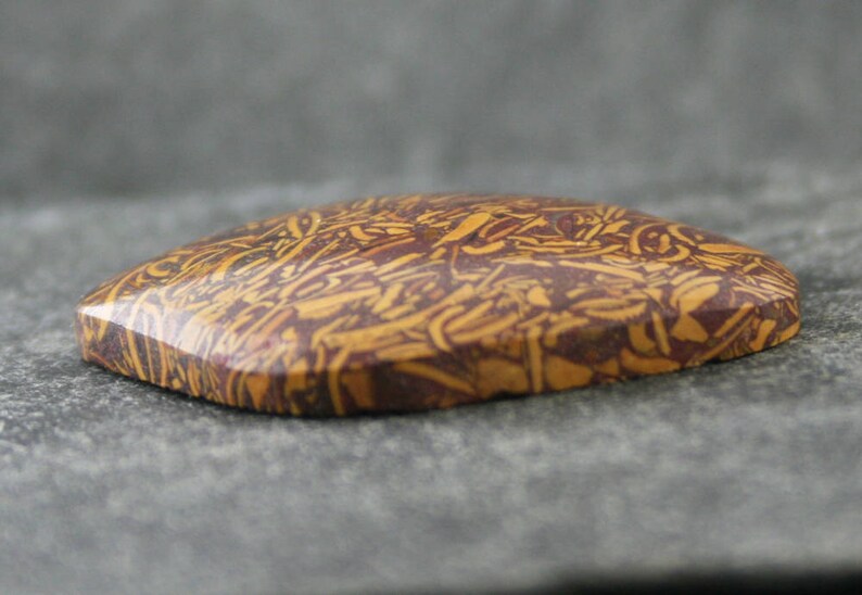 Coquina Jasper Fossil Shell Stone Calligraphy Stone Freeform Gemstone Cabochon Elephant Skin Jasper Print Stone Script Jasper Cabochon