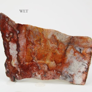 May include: A wet, red, white, and brown agate slab with intricate patterns. The slab is about 15 inches long and 6 inches wide. WET is written in black text at the top of the image.