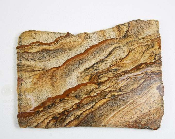 Lapidary Slab, Picture Jasper Rough Slab Specimen, Natural Unpolished