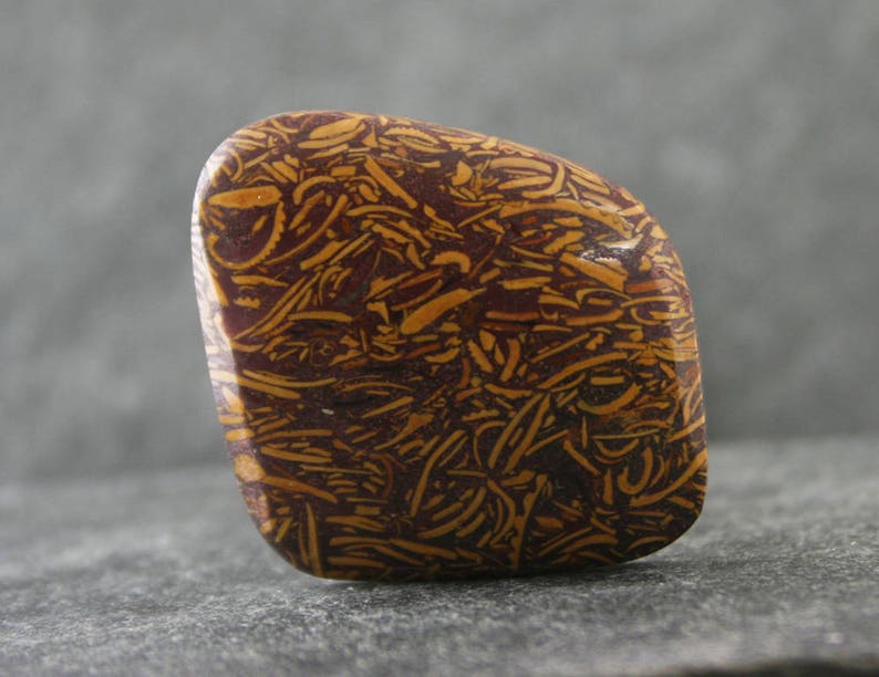 Coquina Jasper Fossil Shell Stone Calligraphy Stone Freeform Gemstone Cabochon Elephant Skin Jasper Print Stone Script Jasper Cabochon
