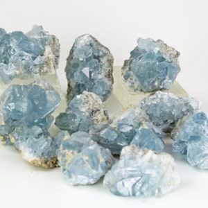 May include: A collection of celestite crystal clusters. The crystals are a pale blue color, with a crystalline structure. The clusters are on a white background. The crystals vary in size and shape, with some appearing more dense than others.