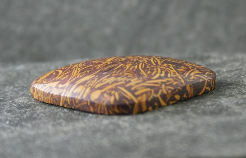 Coquina Jasper Fossil Shell Stone Calligraphy Stone Freeform Gemstone Cabochon Elephant Skin Jasper Print Stone Script Jasper Cabochon