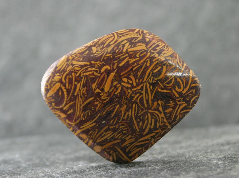 Coquina Jasper Fossil Shell Stone Calligraphy Stone Freeform Gemstone Cabochon Elephant Skin Jasper Print Stone Script Jasper Cabochon