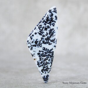 May include: A polished gemstone with a unique pattern. The stone is primarily white with intricate black dendritic inclusions, creating a striking contrast. The shape is elongated and asymmetrical, with a pointed end.