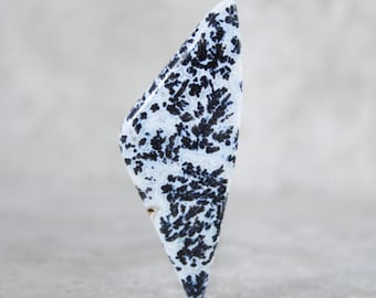 Black Feather Agate Designer Cabochon, Rare Medicine Bow Plume Agate Cabochon, Freeform Wyoming Feather Agate Cab