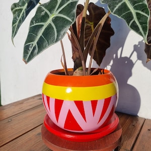 May include: A houseplant with dark green leaves in a bright red, yellow and pink painted ceramic pot with a wooden base.