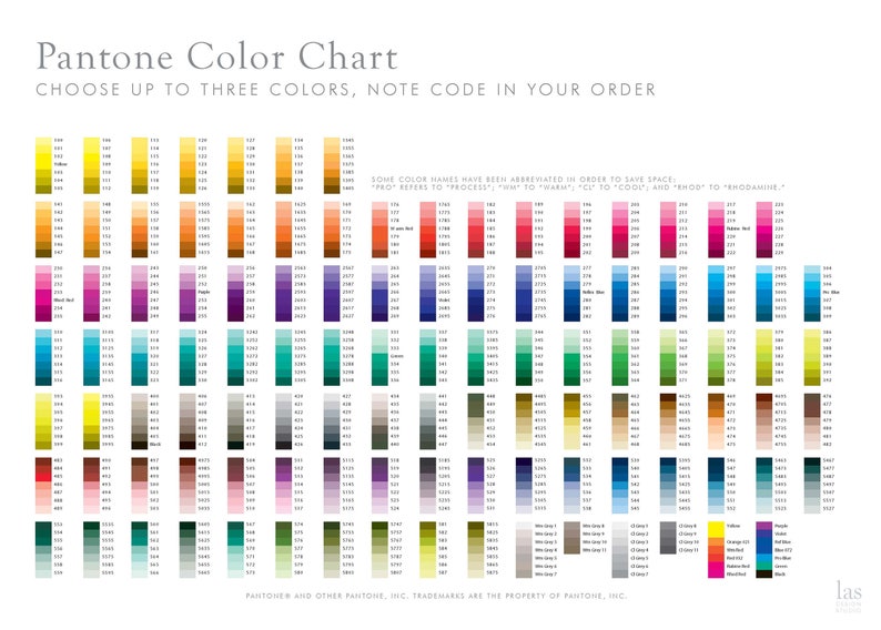 Family Reunion Weekend Timeline Customizable Printable PDF Etsy