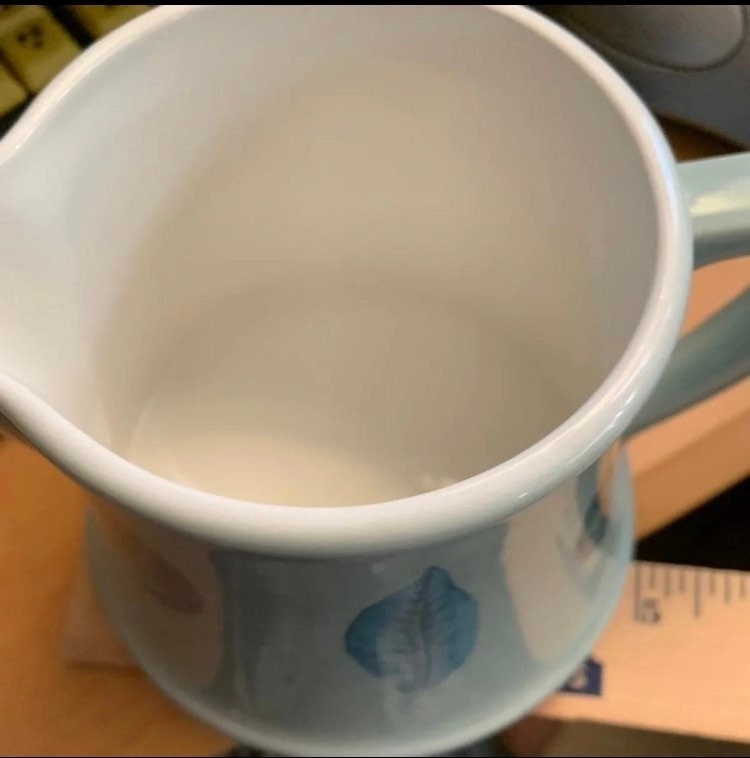 Portmeirion Sugar and Creamer the Seasonsleaves Oversized Etsy