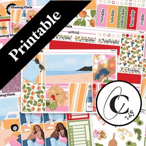 DRUCKBARE Picknick - Sommer Strand Planner Sticker Kit für wöchentliche vertikale, Hobonichi Cousin, Hobonichi Wochen, tägliche und Bullet Journal Set