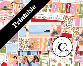 PRINTABLE Picnic - Summer Beach Planner Sticker Kit for Weekly Vertical, Hobonichi Cousin, Hobonichi Weeks, Daily, and Bullet Journal Set