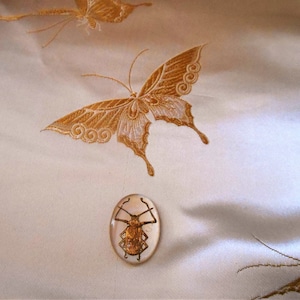 Vintage Glass German Reverse Intaglio Cabochon Gold and White Bug - 18 x 24 mm