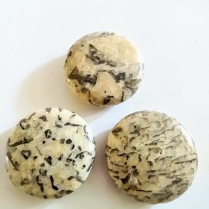May include: Three round, smooth, white stones with black and gray marbling.