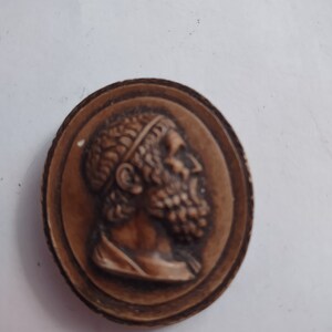 May include: A brown oval cameo with a raised image of a bearded man's profile. The cameo is set in a brown oval frame.