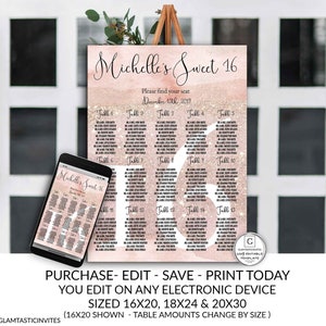 Printable Sweet 16 Seating Chart, Rose Gold Seating Chart Template, Sweet Sixteen Printable, Instant Download, Birthday Seating Chart, DIY