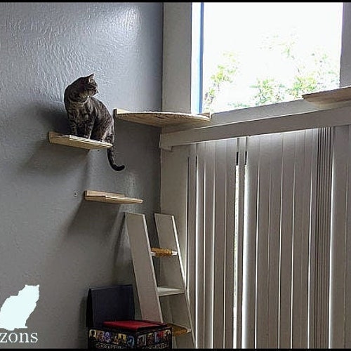 Set of 4 Floating Cat Shelves With Corner Shelf With Carpet Etsy