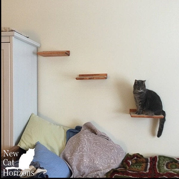 Floating Cat Shelf Set / 3 Short Shelves w/ Hidden Brackets